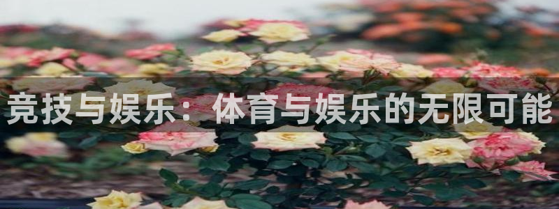 upload/20250701114914.jpg