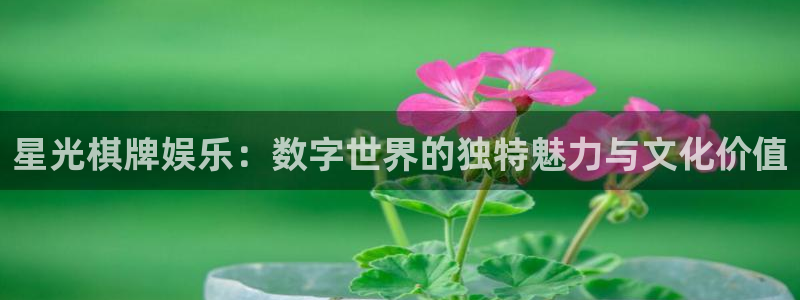 upload/20250701114914.jpg